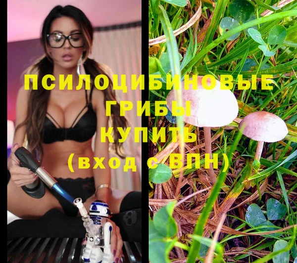 каннабис Богданович