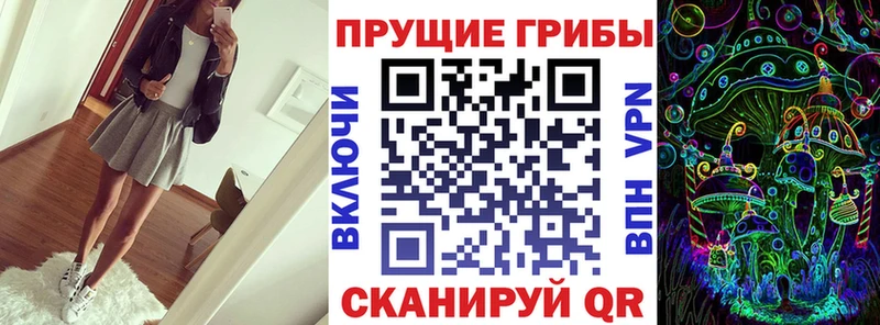 Галлюциногенные грибы Psilocybine cubensis  Дубовка 